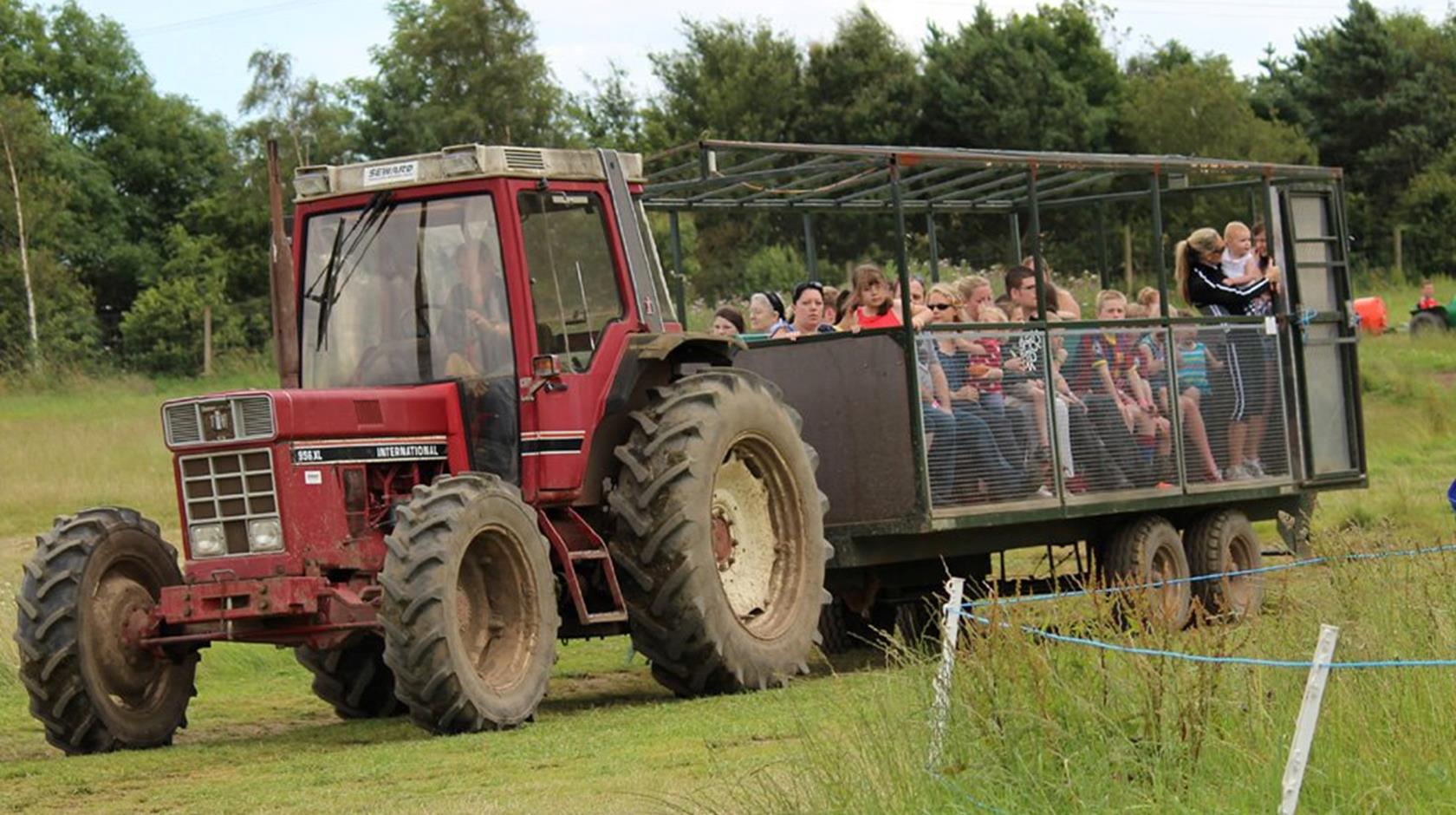 tractorride Tweddle Farm